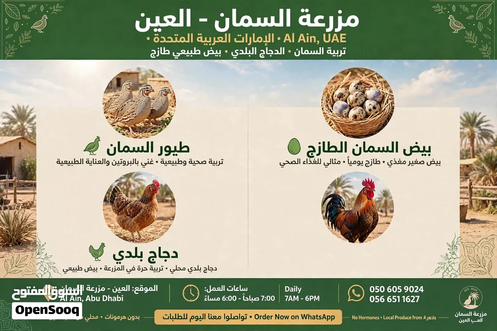 بيض وطيور الفري