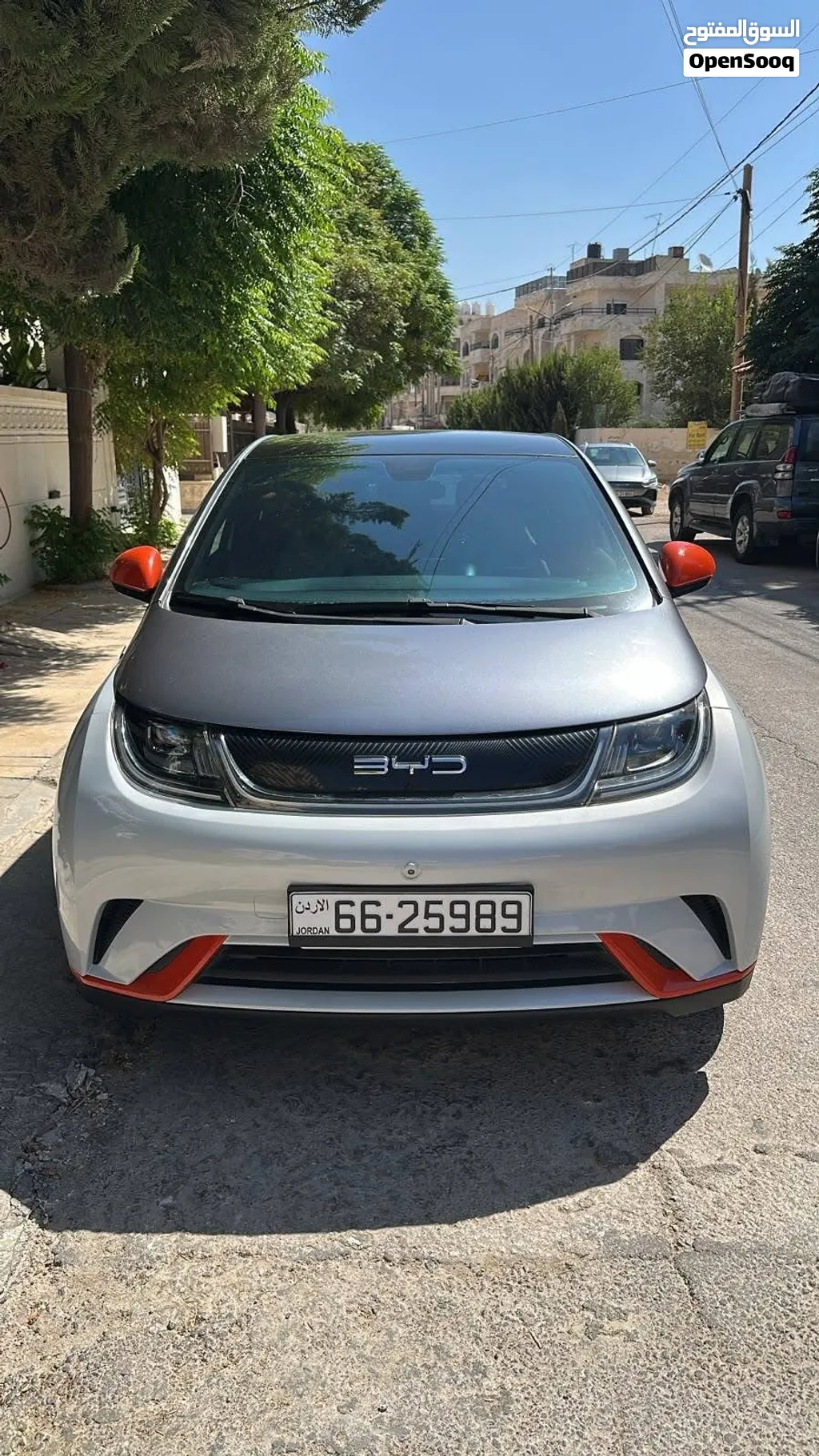 BYD Dolphin 2022