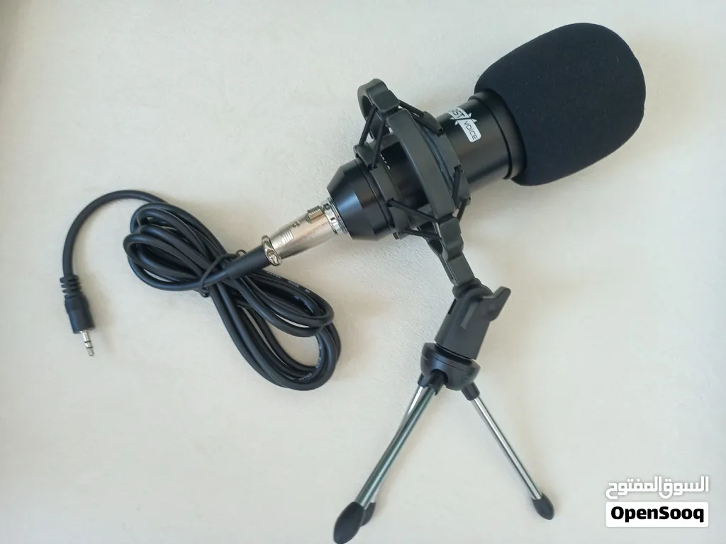 قول سعرك وأرفعه Last voice BM800
