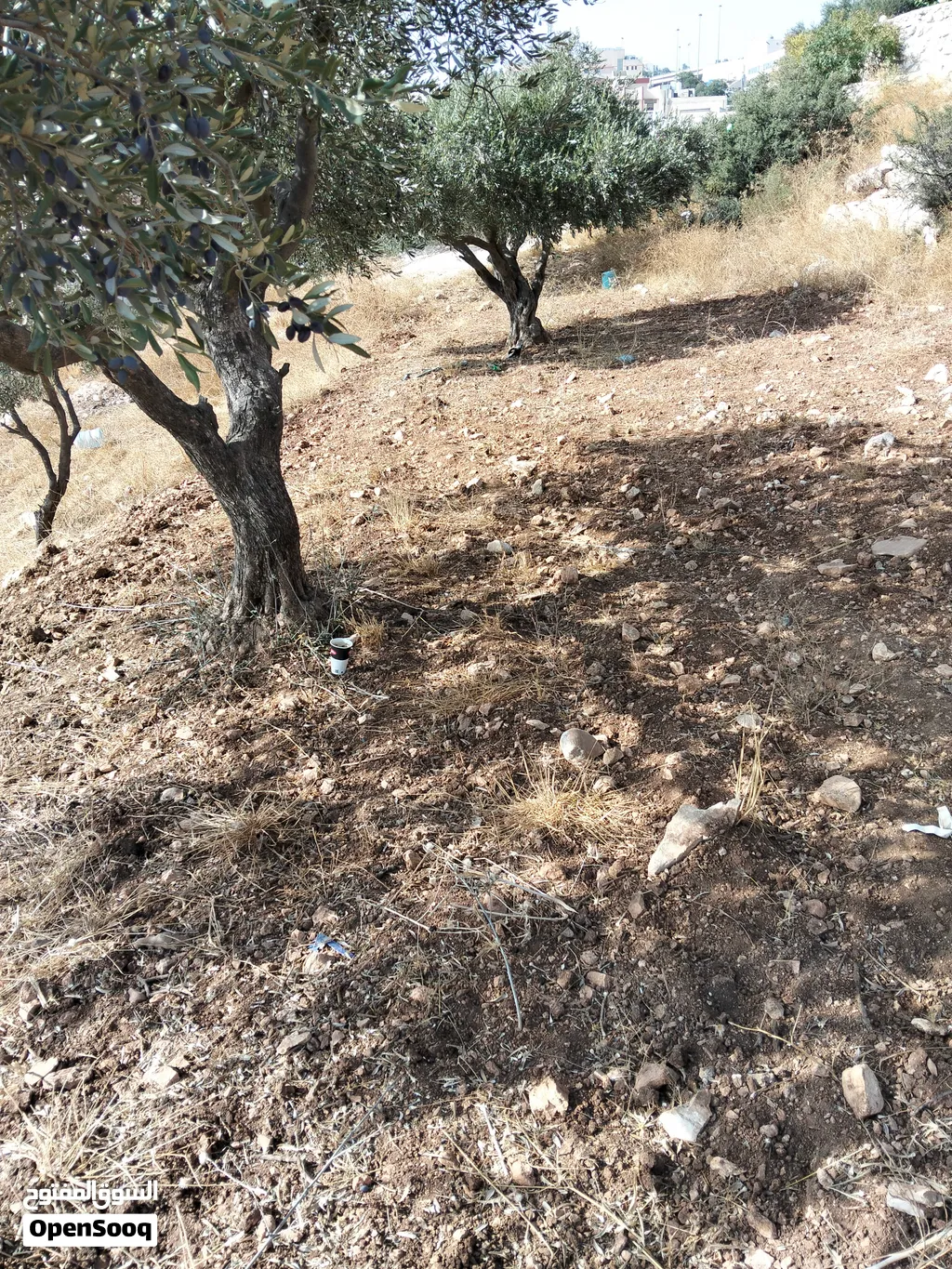 قطعة ارض للبيع بسعر مغري جاهزة للبناء بسعر مغري جداً