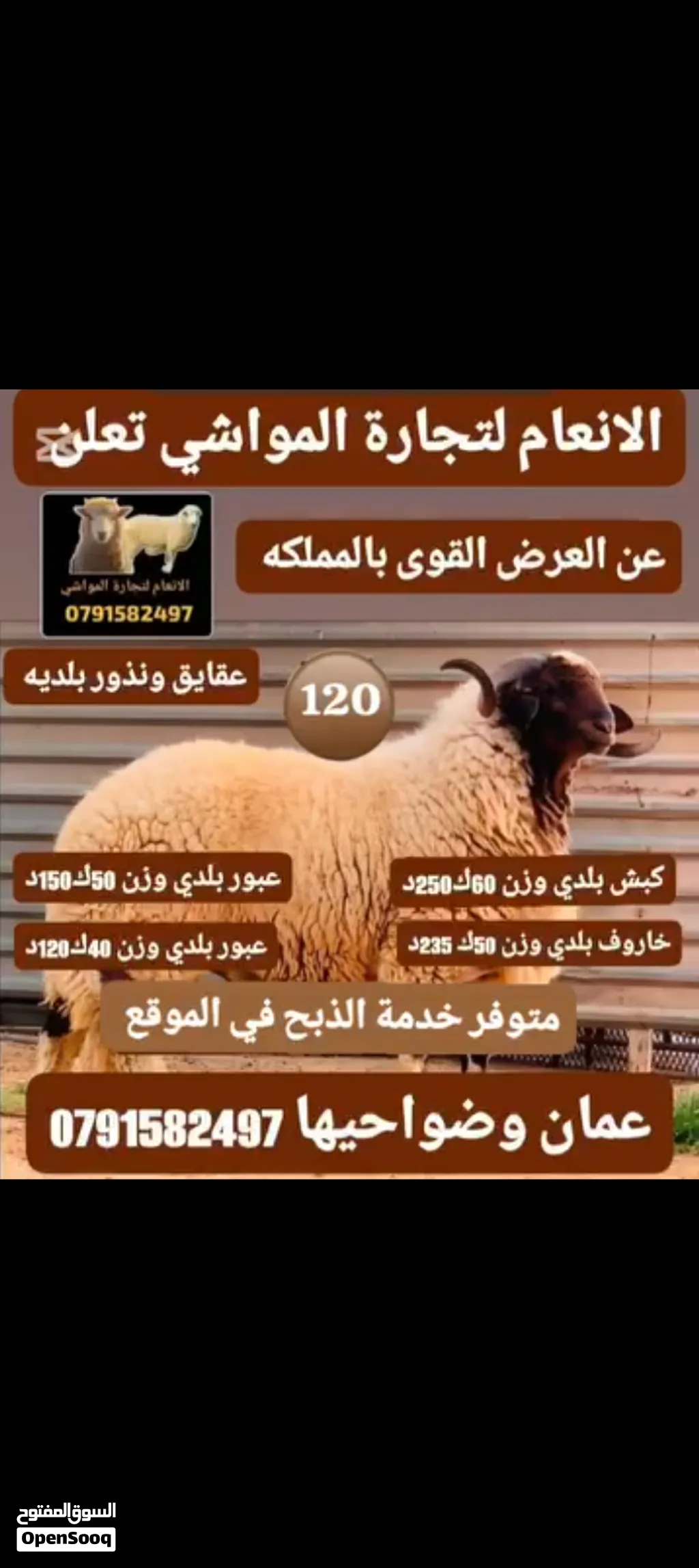 عقايق ونذور بلديه خاروف عابور