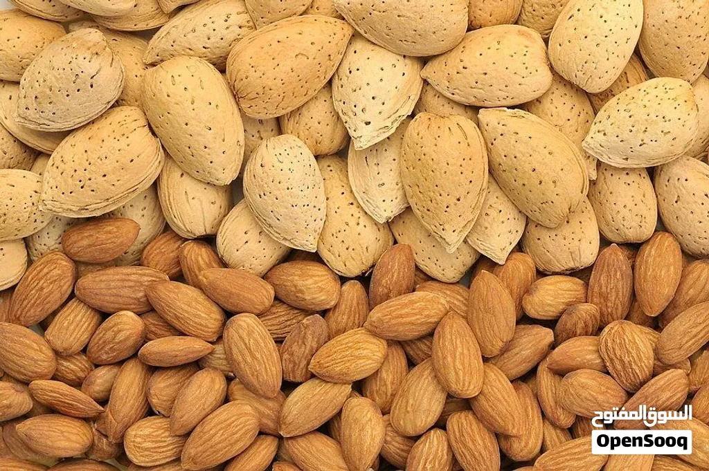 لوز بلدي درجة أولى من ظفران