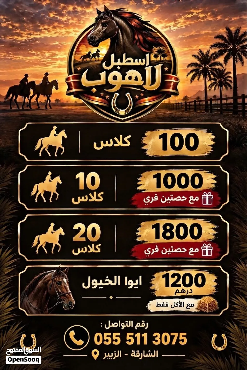 إيواء خيول وتدريب ب افضل الاسعار