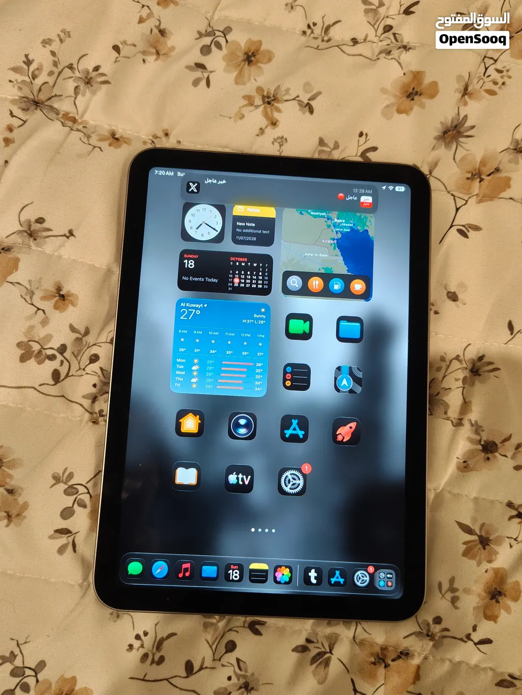 Ipad mini 7
