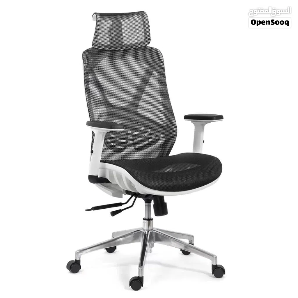 A-ERGONOMIC CAREZMA Manager Gray Korea 81905