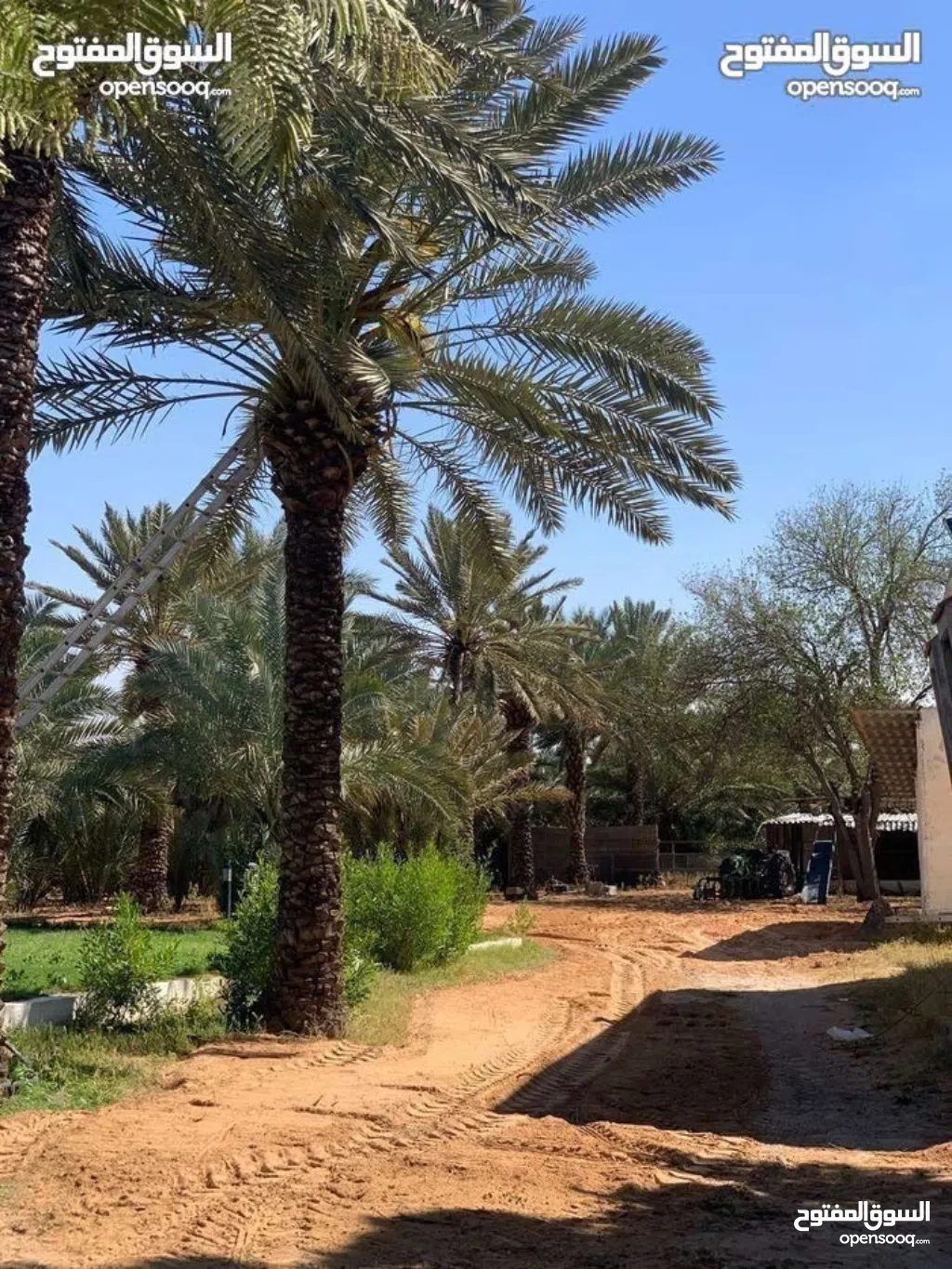 أرضي للبيع 230 و 240سوق الجمعة 11 يونيو طريق 16 بالقرب من مسجد التوبة داخل المخطط موقع ممتاز