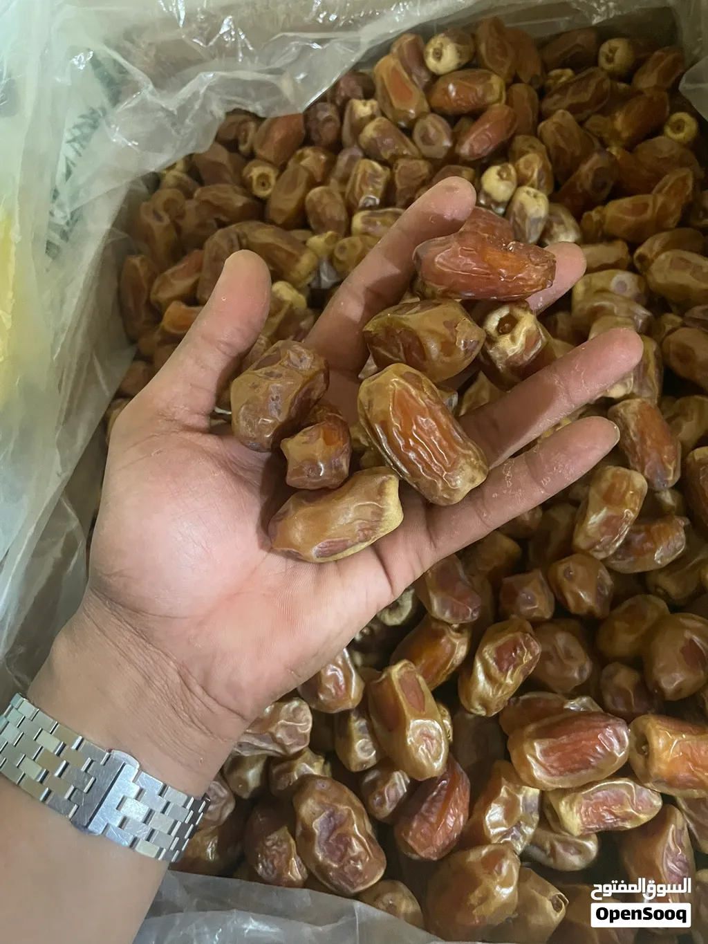 تمور المجمعه