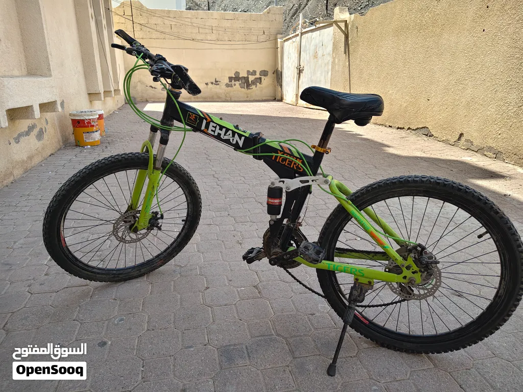 Lehan York Tigers Mountain Bicycle - Dual Suspension