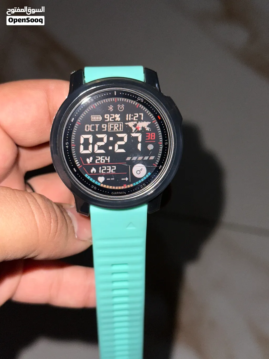 Garmin Fenix 6s Pro