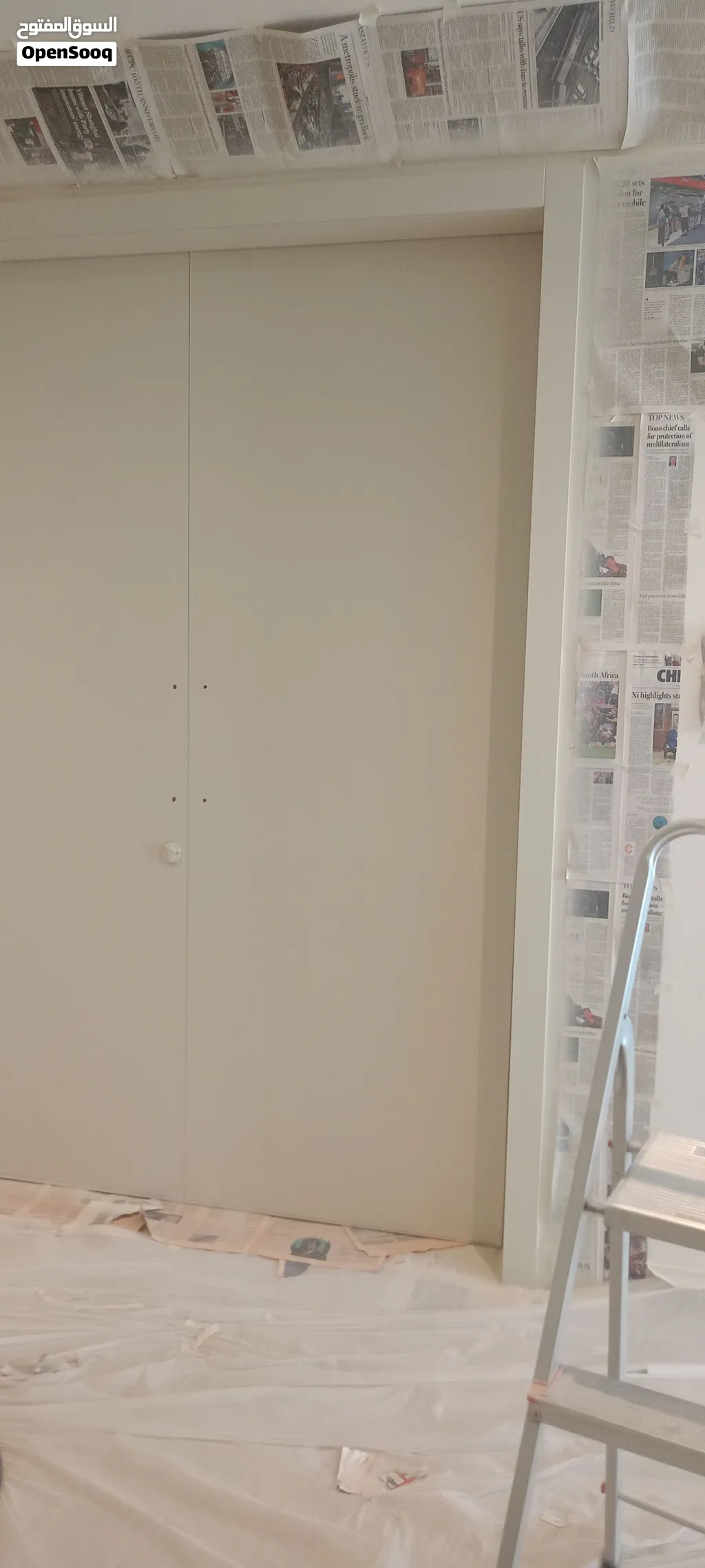 Professional Paint Services