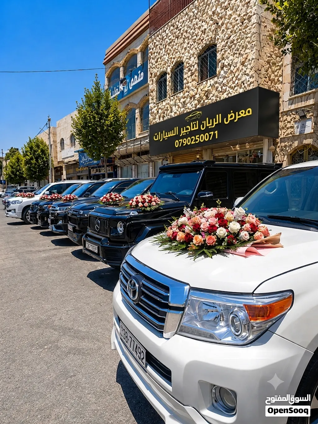 تشكيلة واسعة من السيارات يومي واسبوعي وشهري