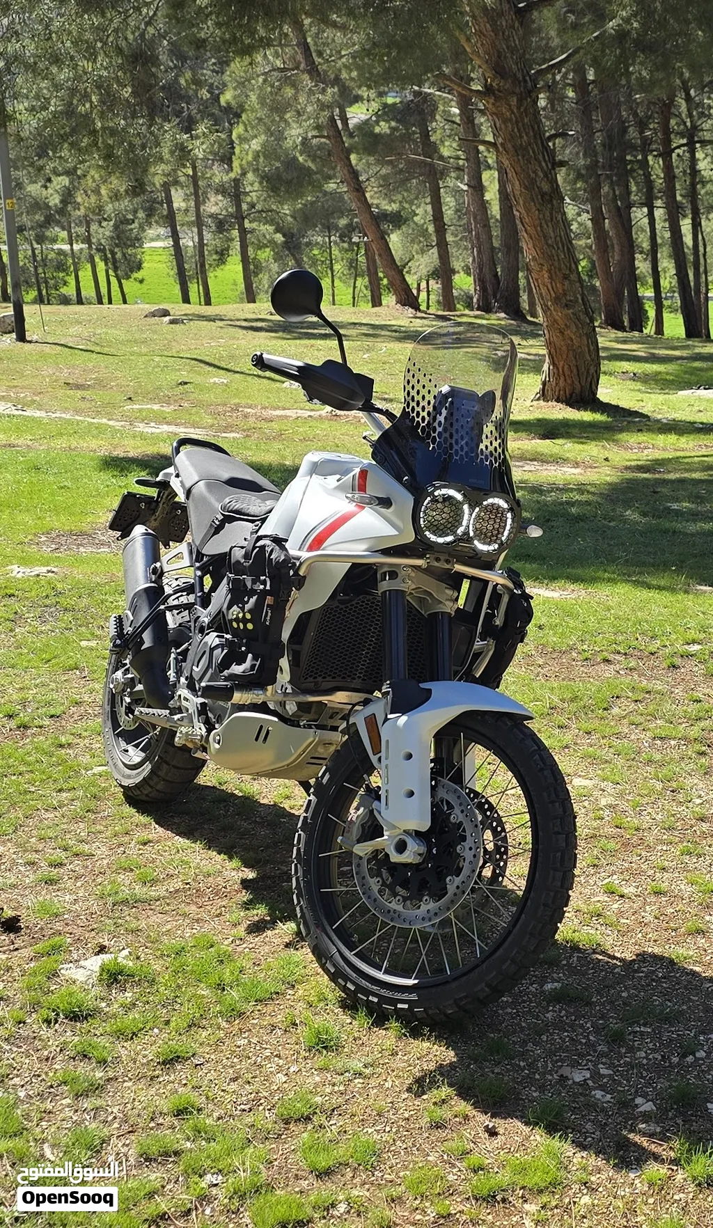 Ducati Desert X 2024