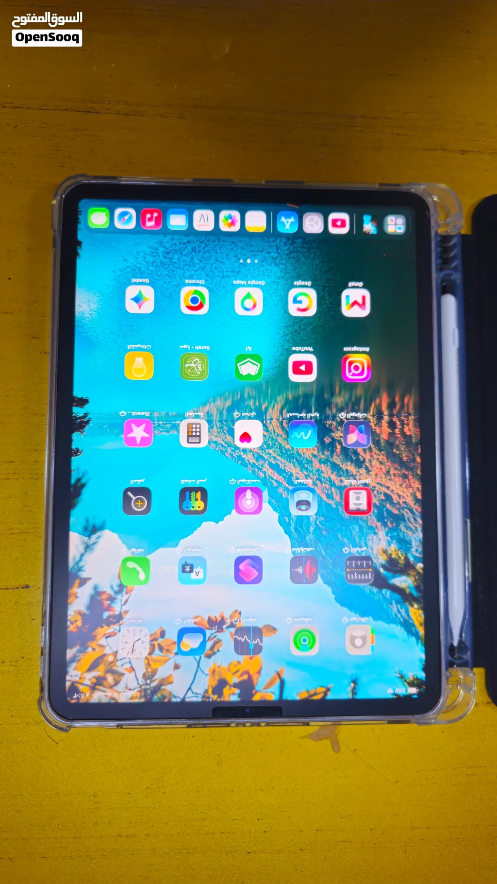 ipad pro m2 11in 256gb
