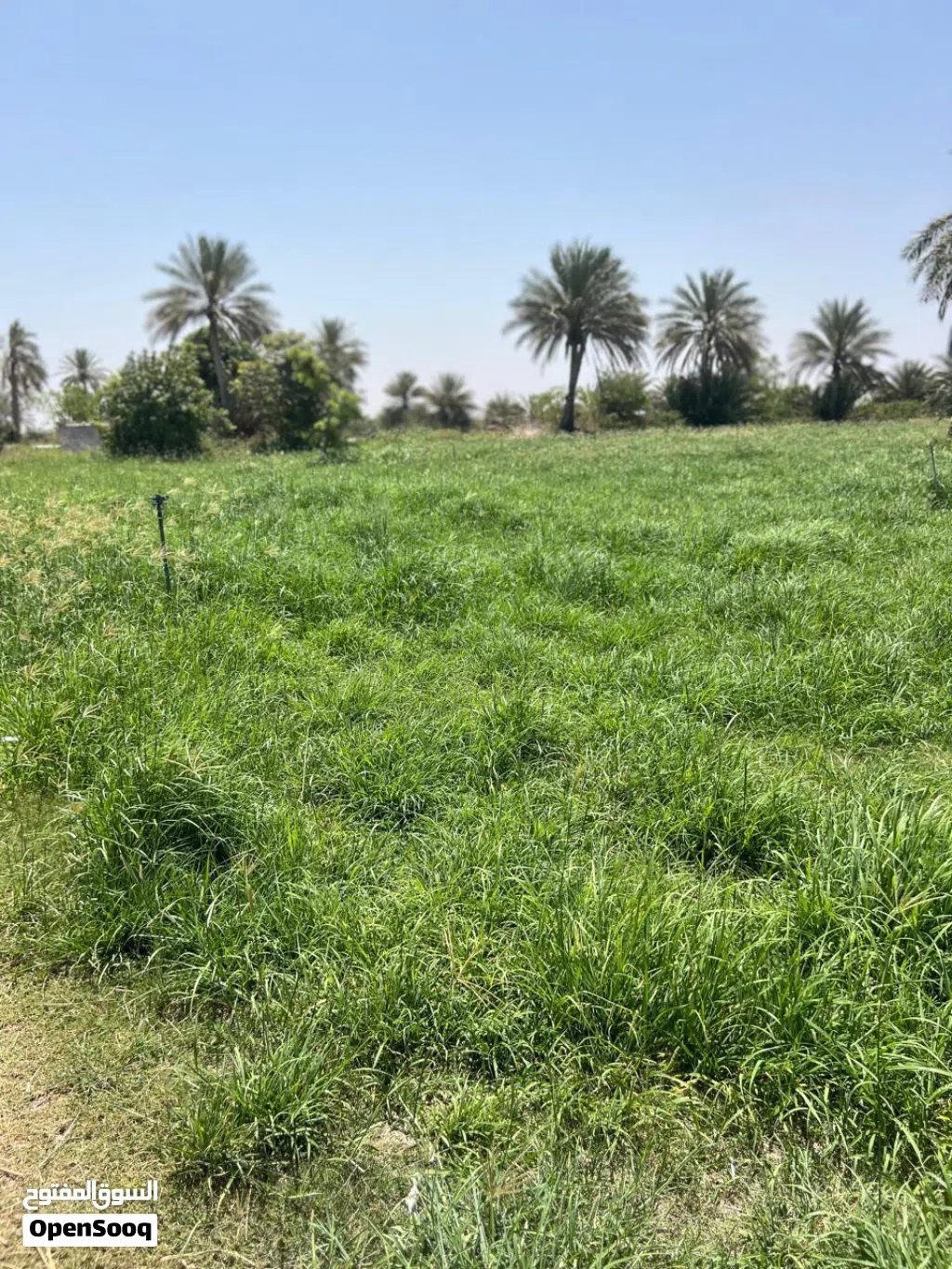 ارض زراعيه + بيت العمر جديد السعر مليونين ونص قابل للتفاوض للجاد بحدود المعقول