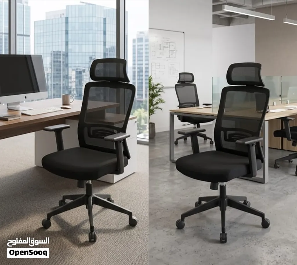 Office & study chair