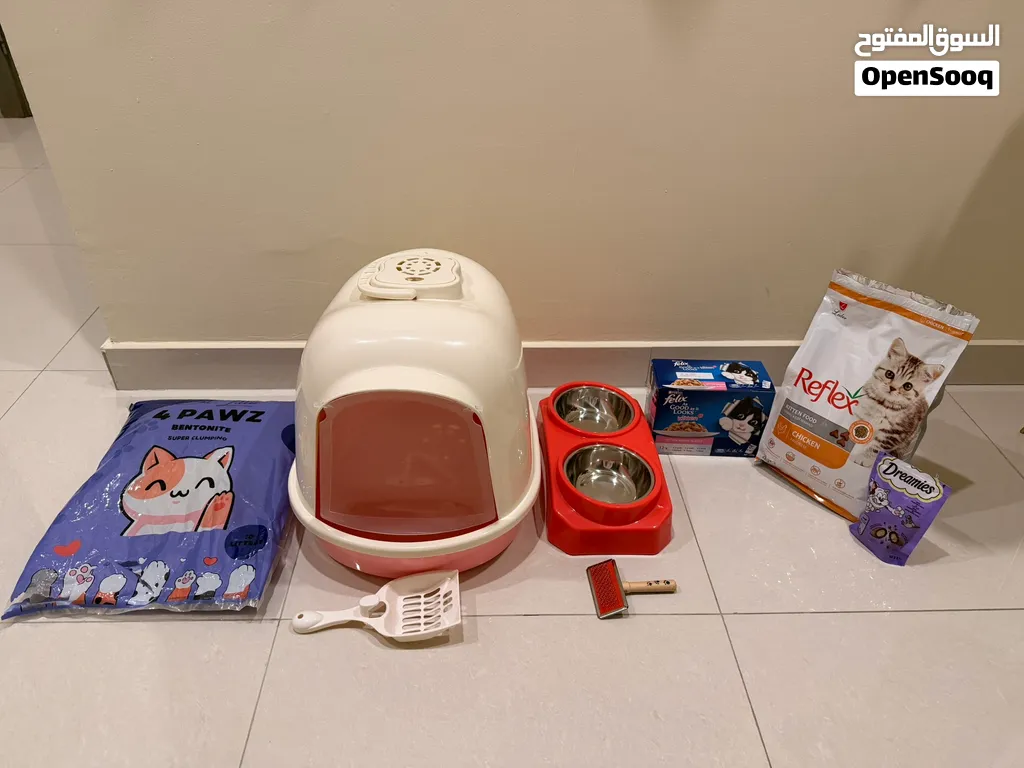 All Kitten supplies for sale - used for 2 days only -