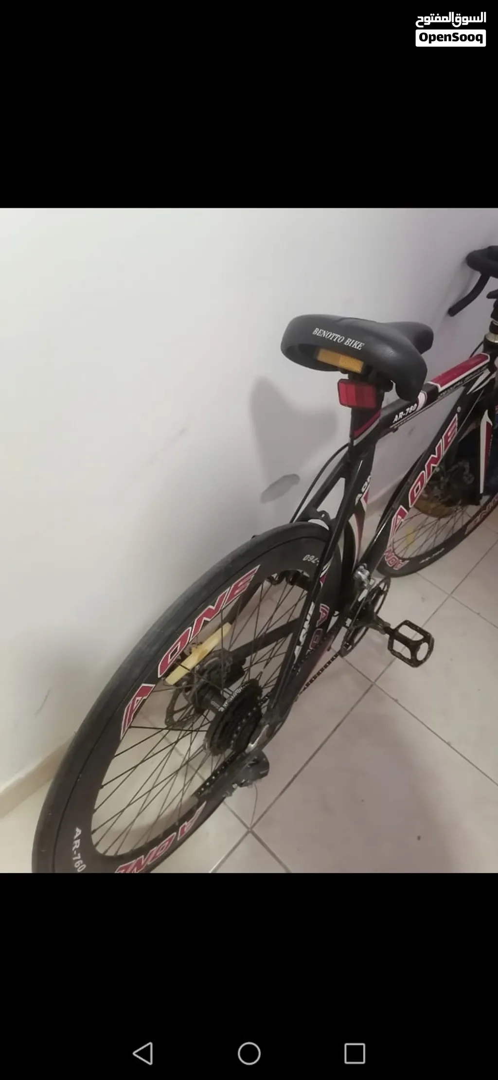 model 2024