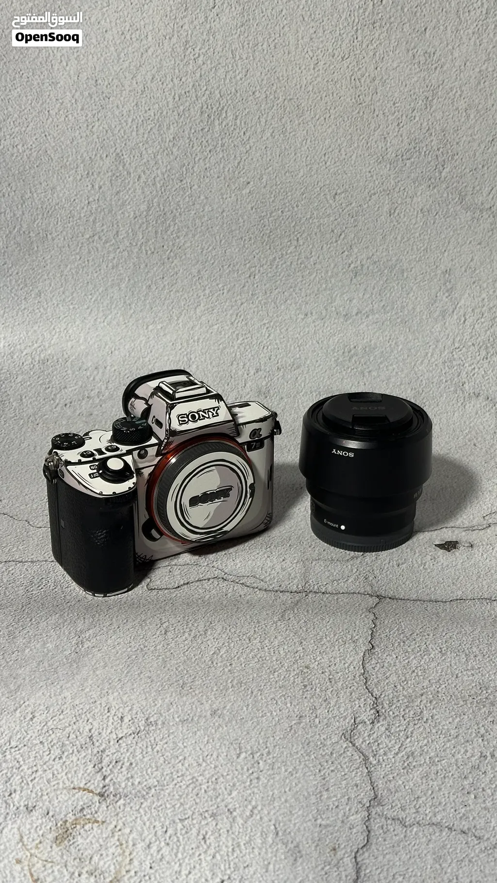 Sony a7iii & Sony 50mm