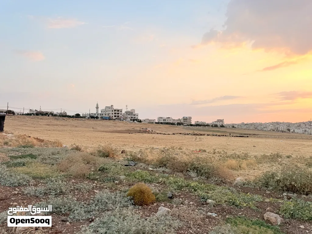 أرض سكن ب في الجويدة من المالك مباشرة 764 م2 بسعر 120 دينار للمتر