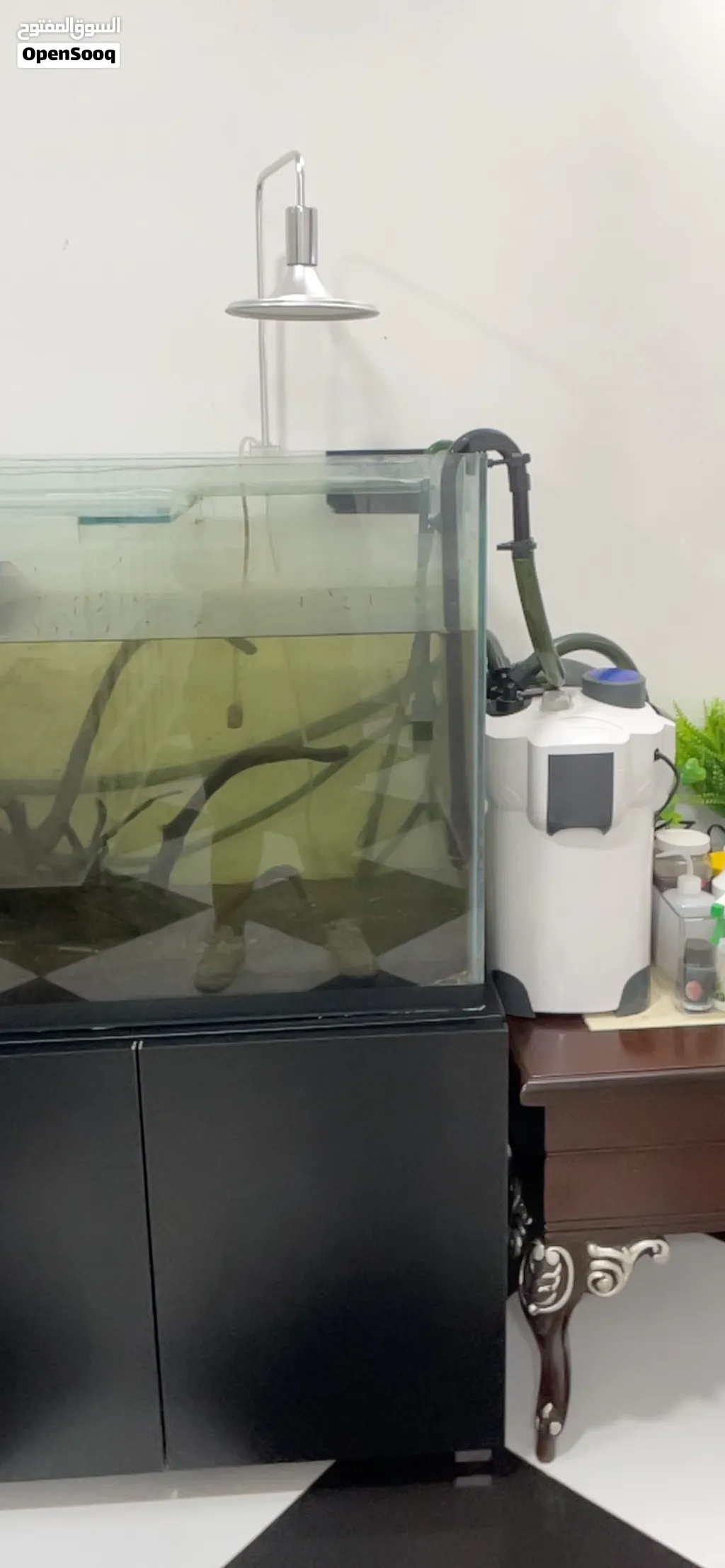 Aquarium with cabinet