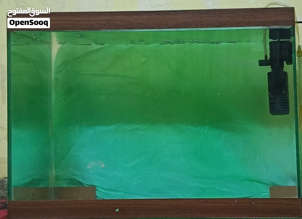 حوض سمك 50cm