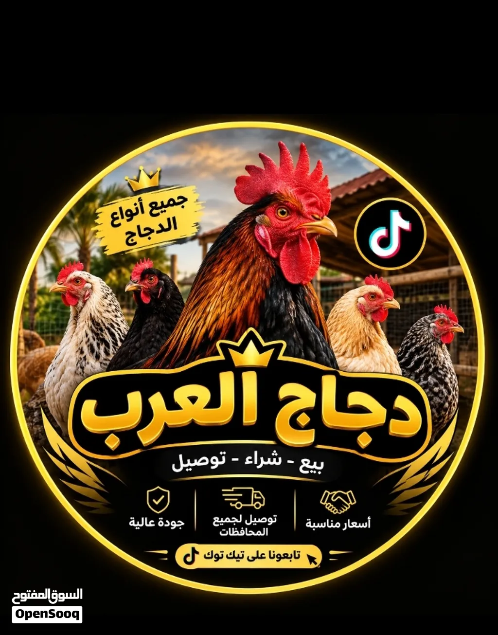 سلام عليكم شبابنه