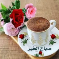 احمد الموسي