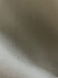 علدالقادر نورالدين