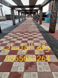 سيد رمضان