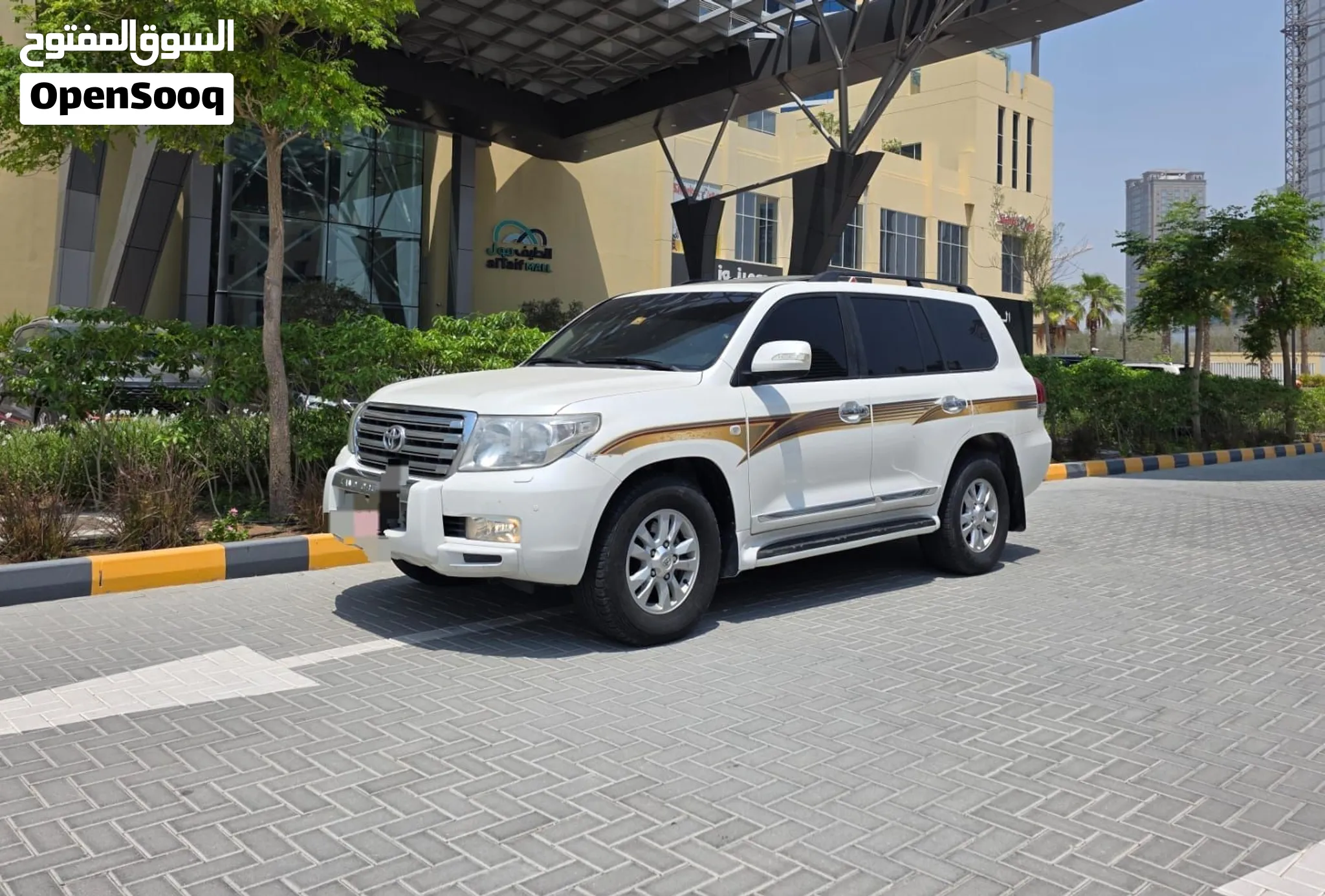 2010 Toyota Land Cruiser