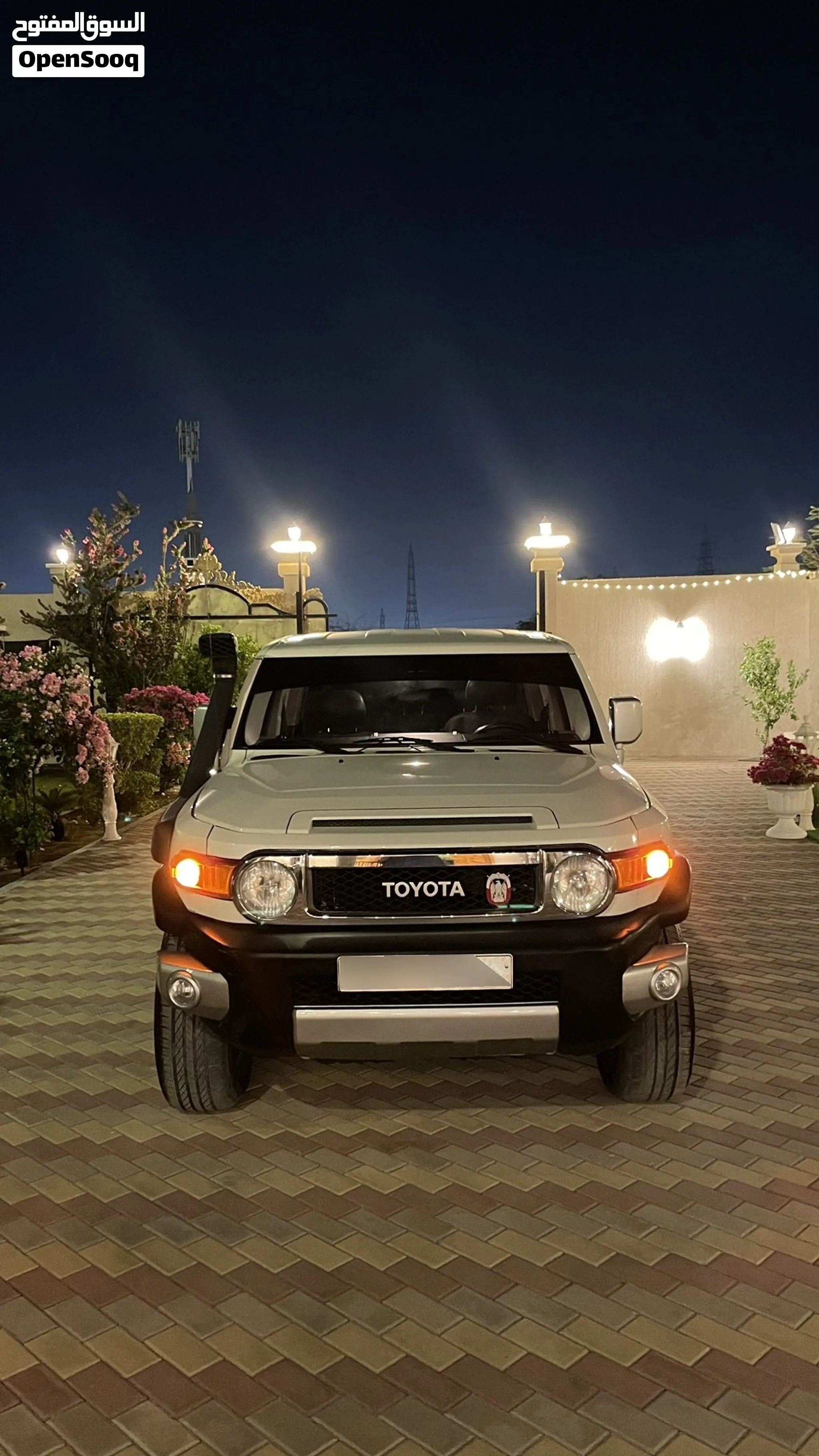 2013 Toyota Fj