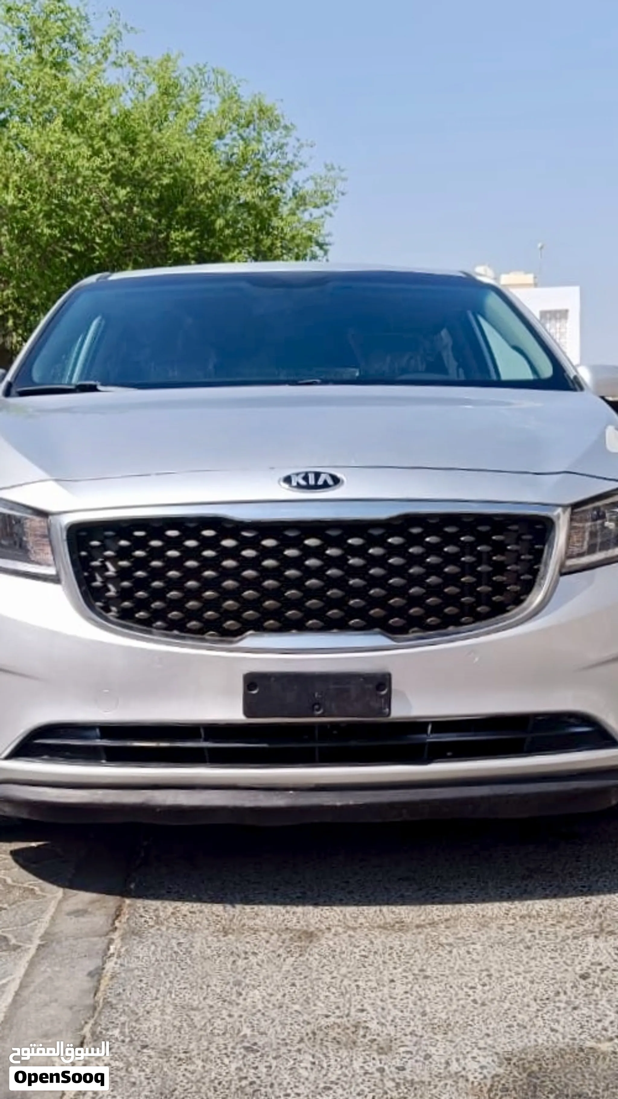 2017 Kia Sedona