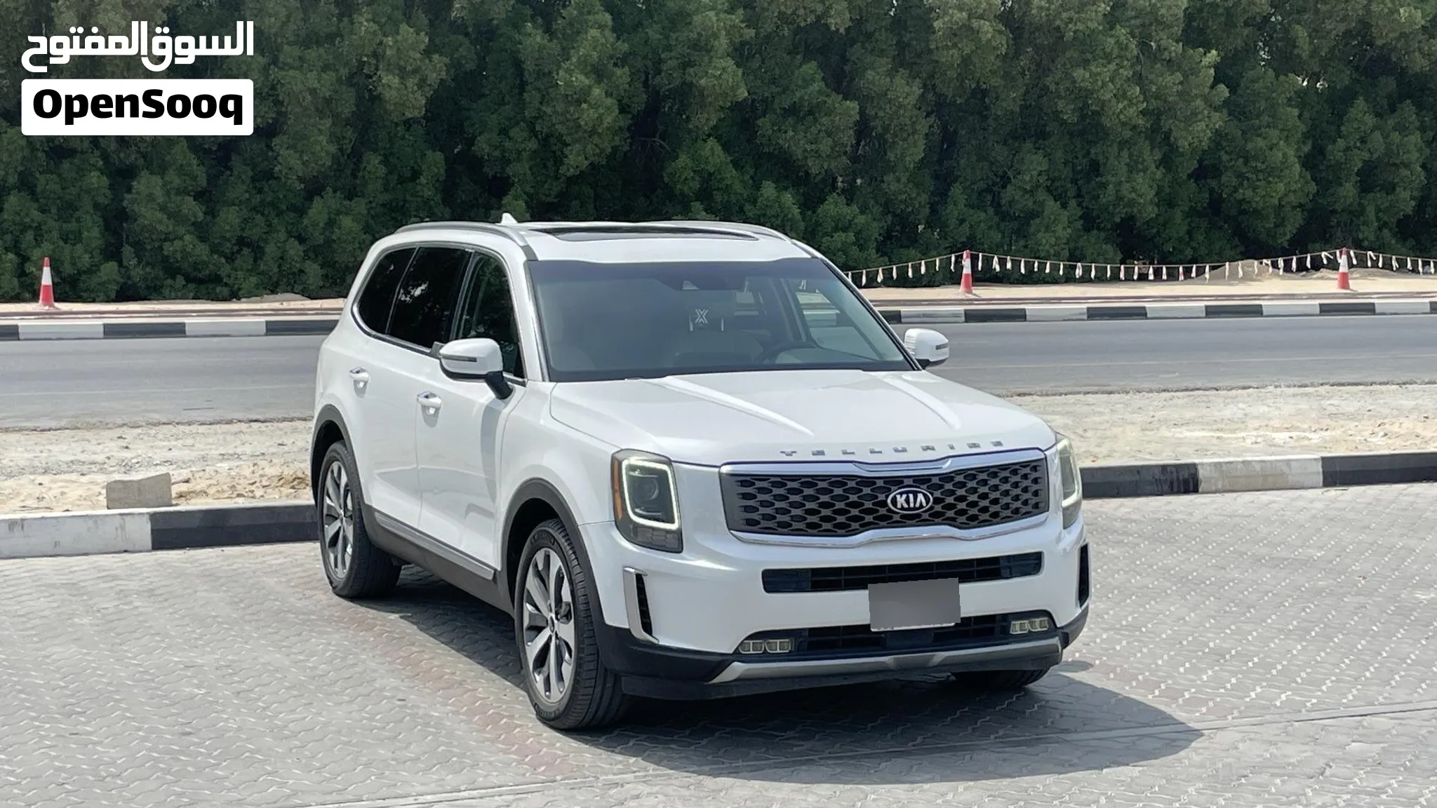 2020 Kia Telluride