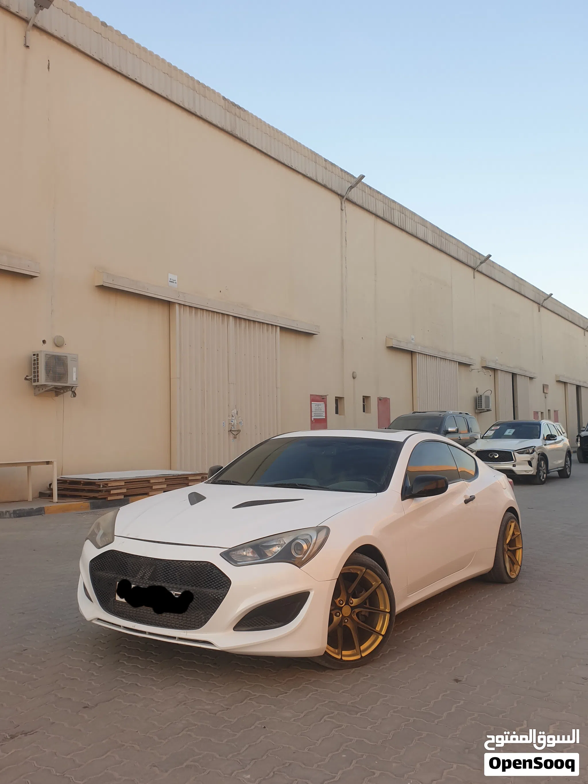 2013 Genesis Other