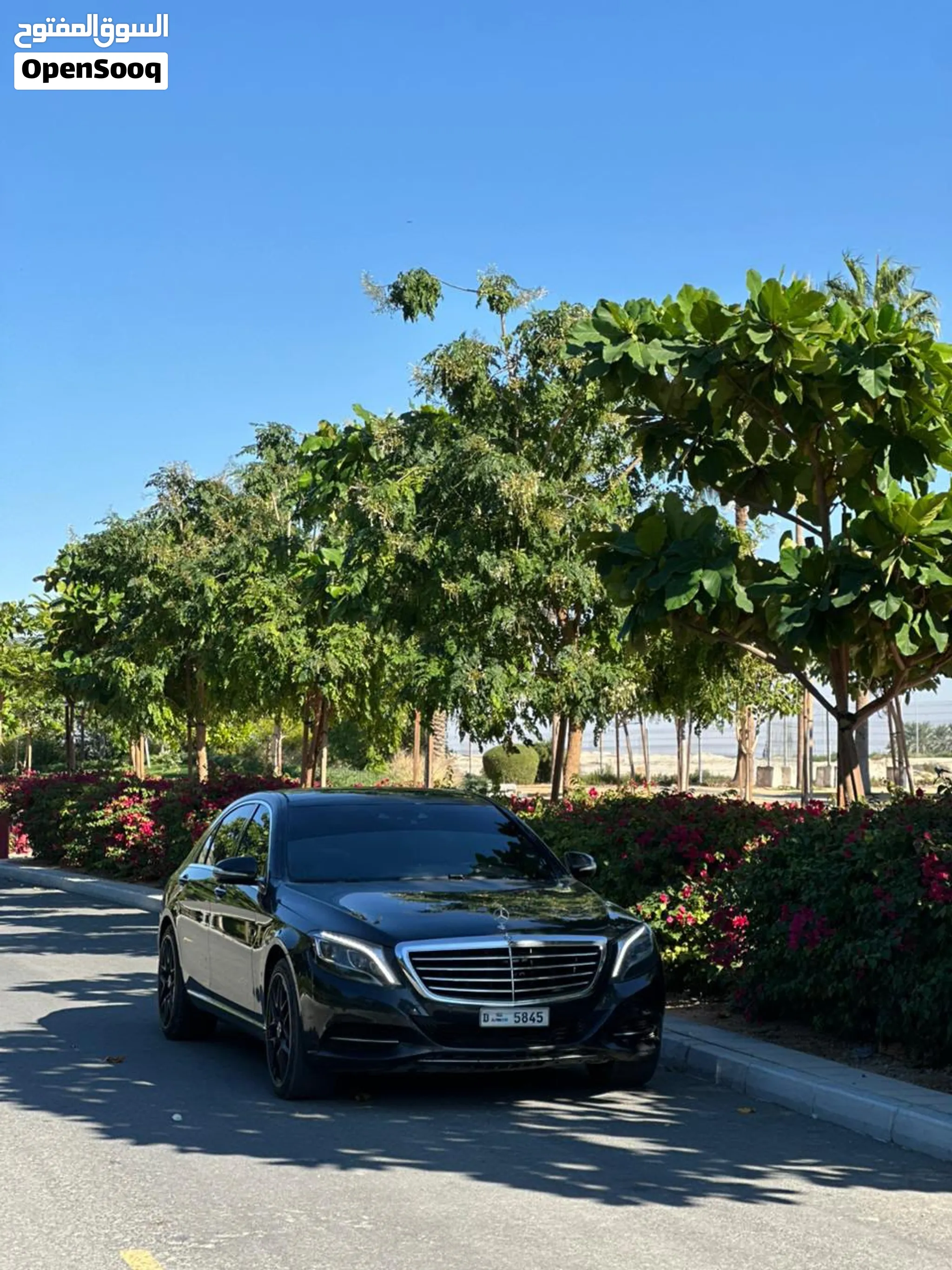 2015 Mercedes Benz S-Class