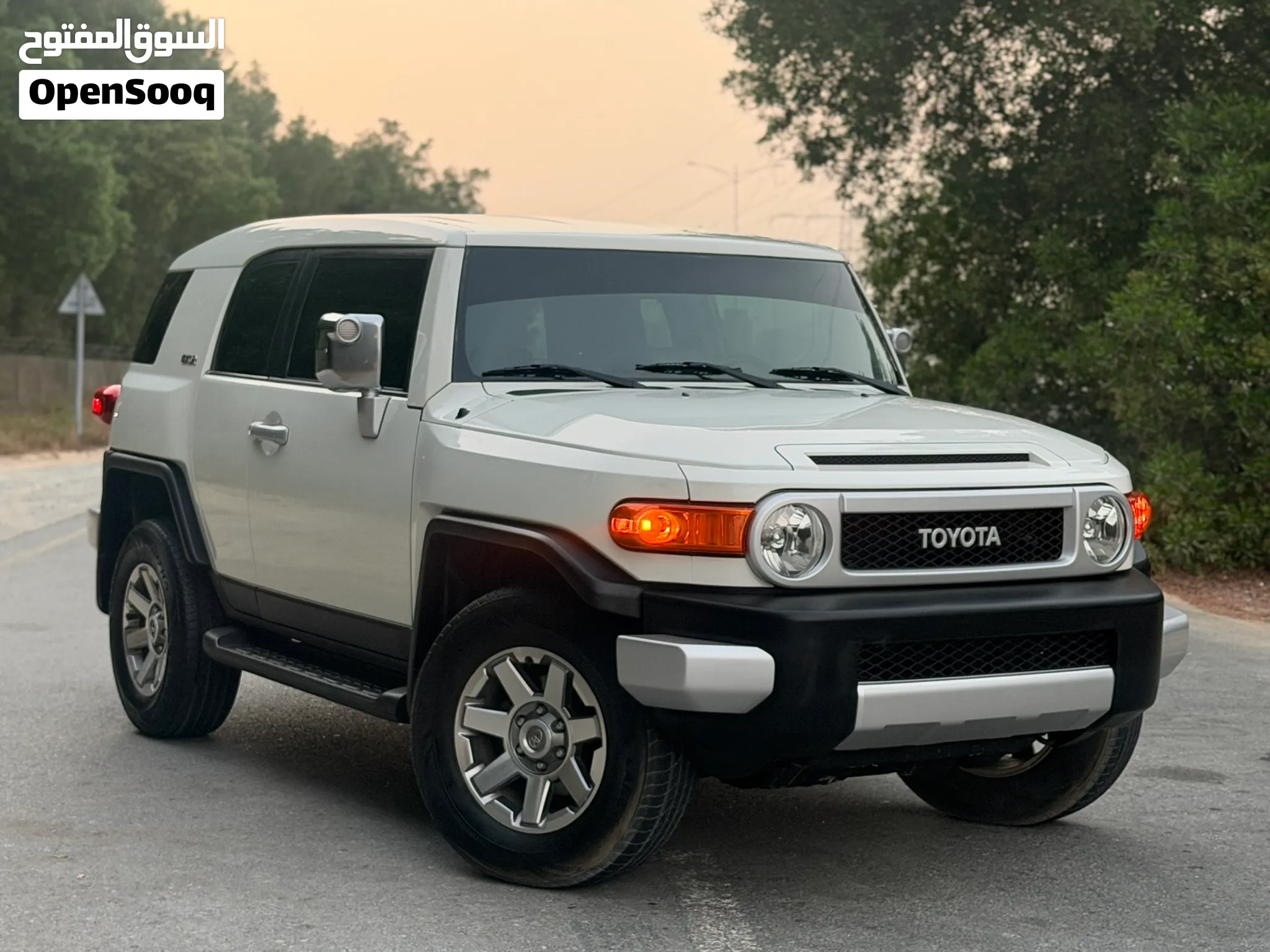 2014 Toyota Fj