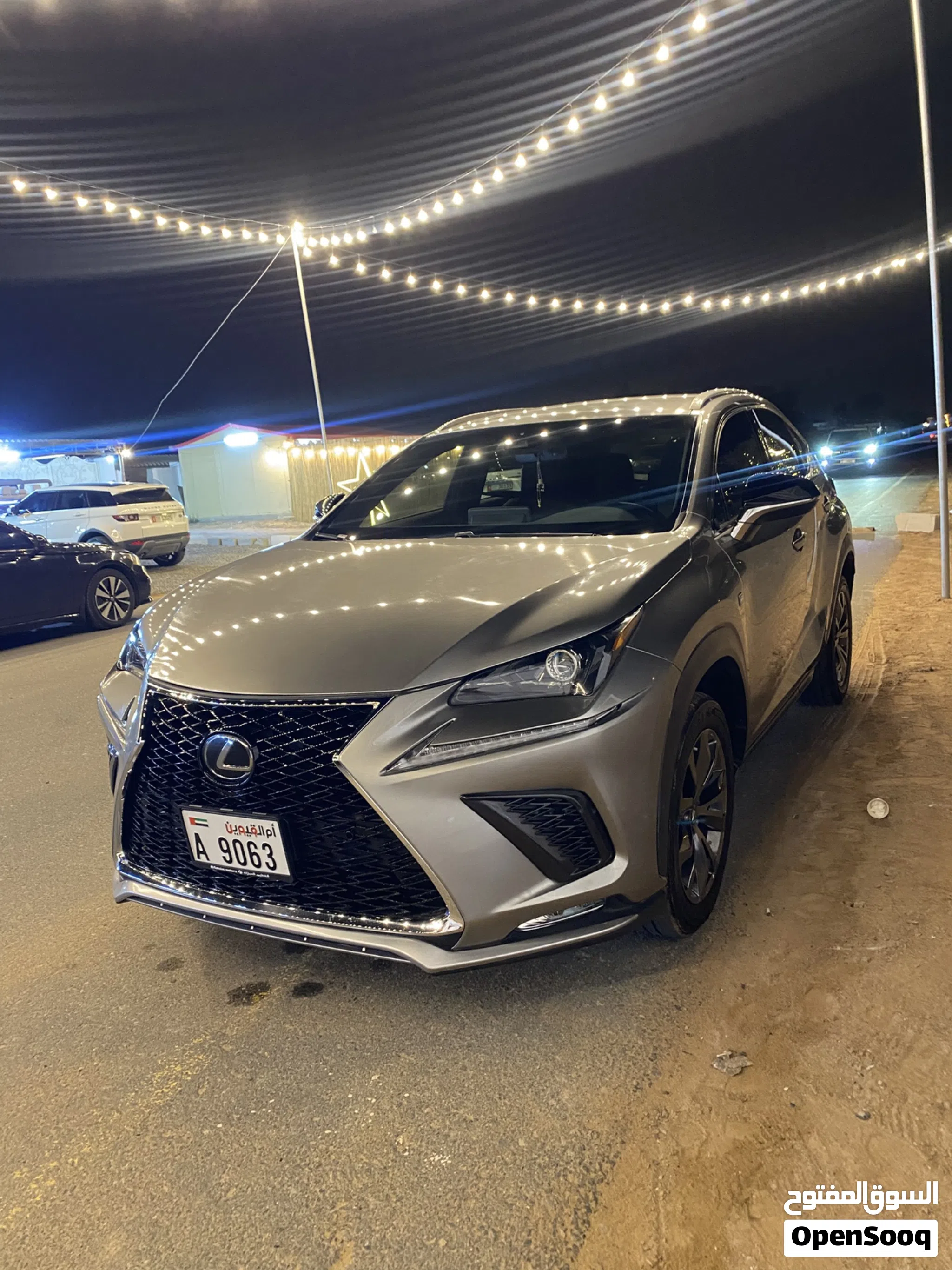 2019 Lexus NX