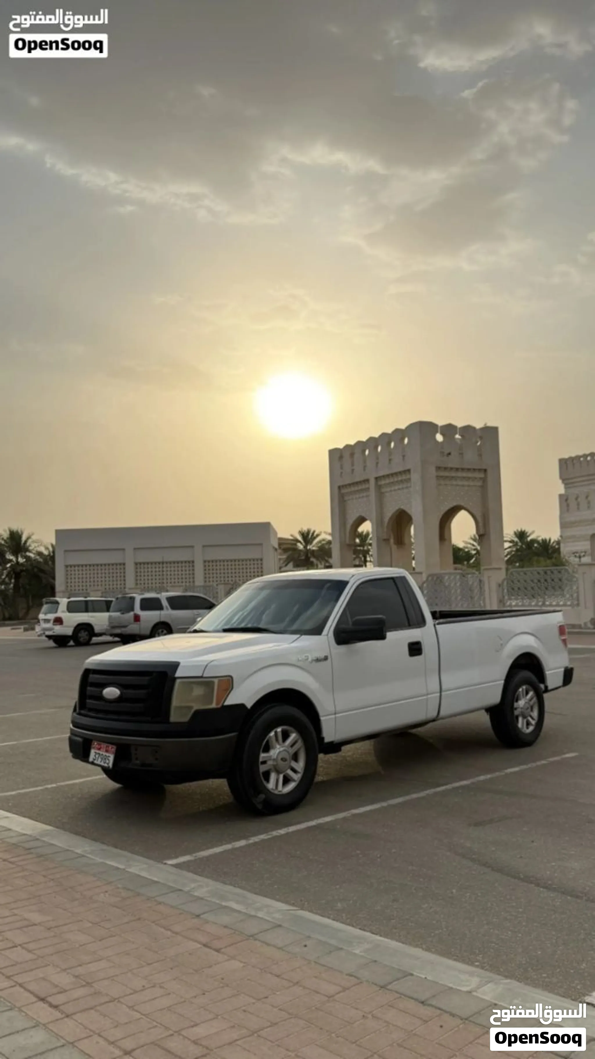 2009 Ford F 150