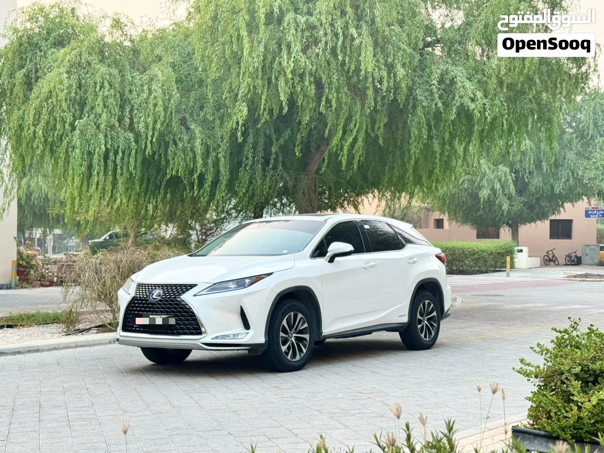 2022 Lexus RX