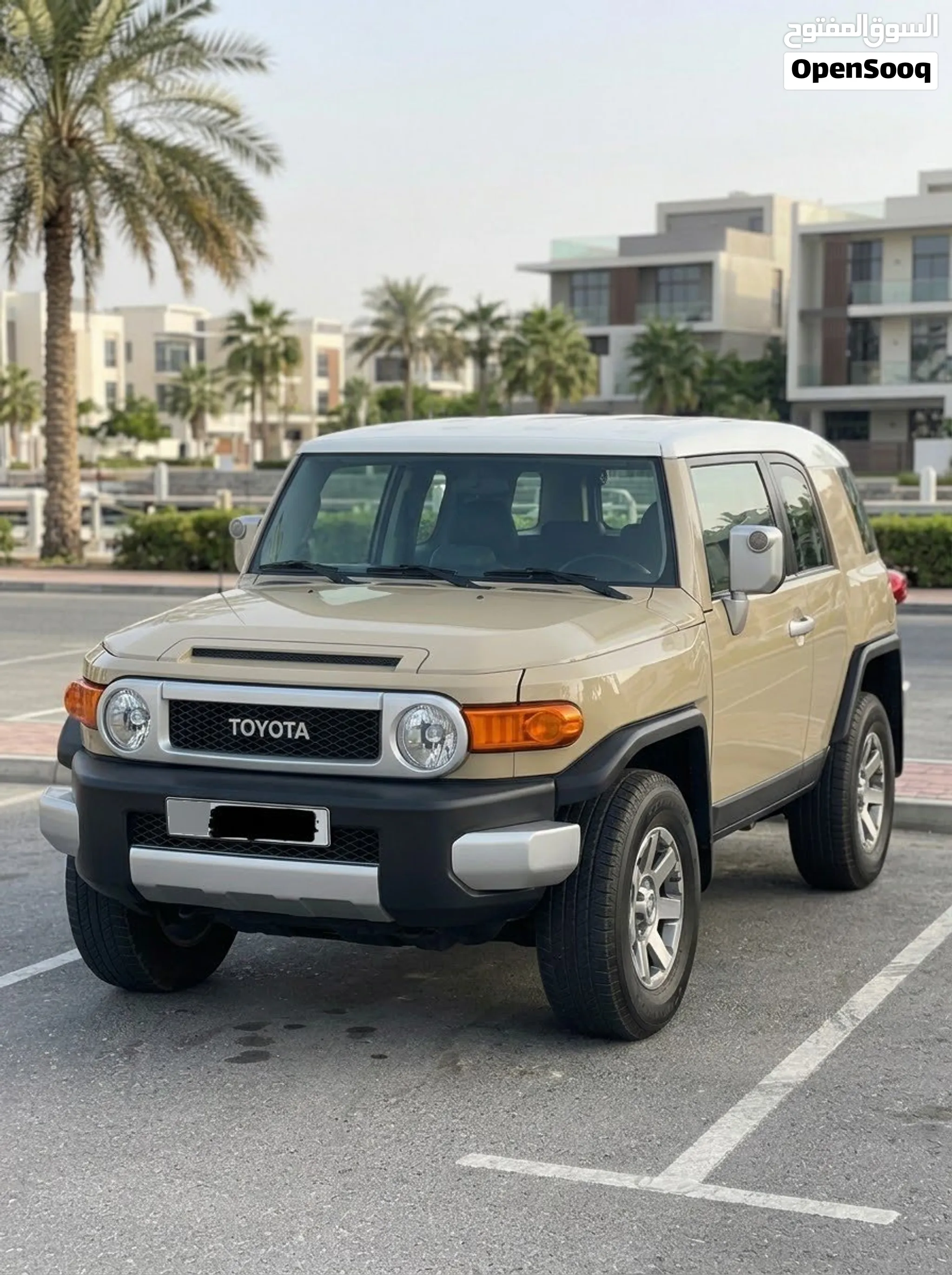 2018 Toyota Fj