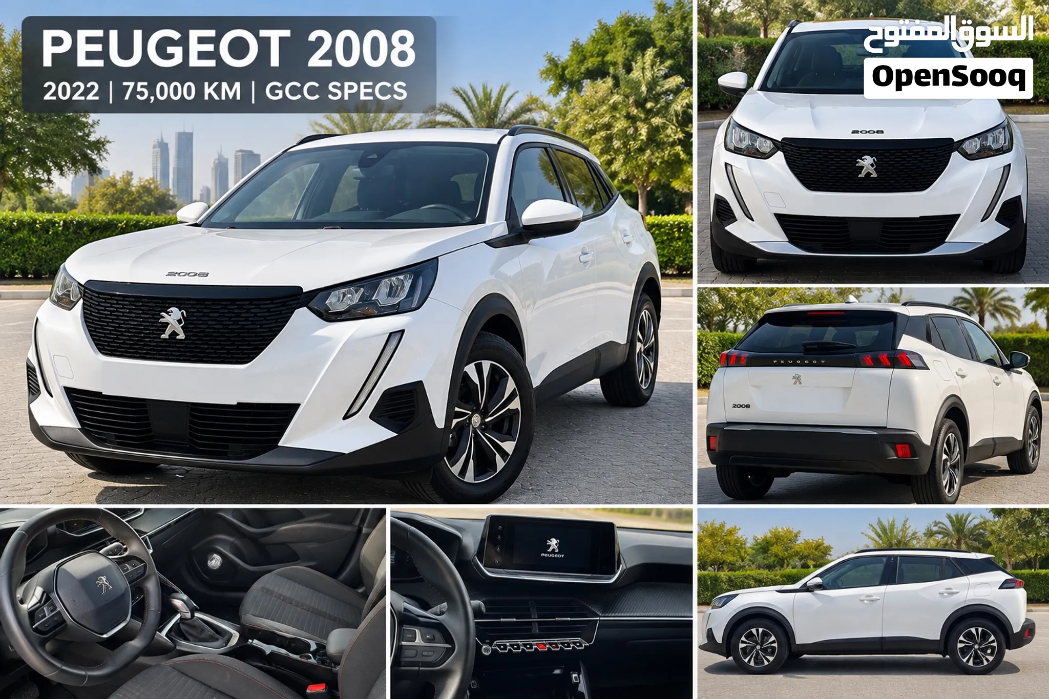 2008 Peugeot 2,008