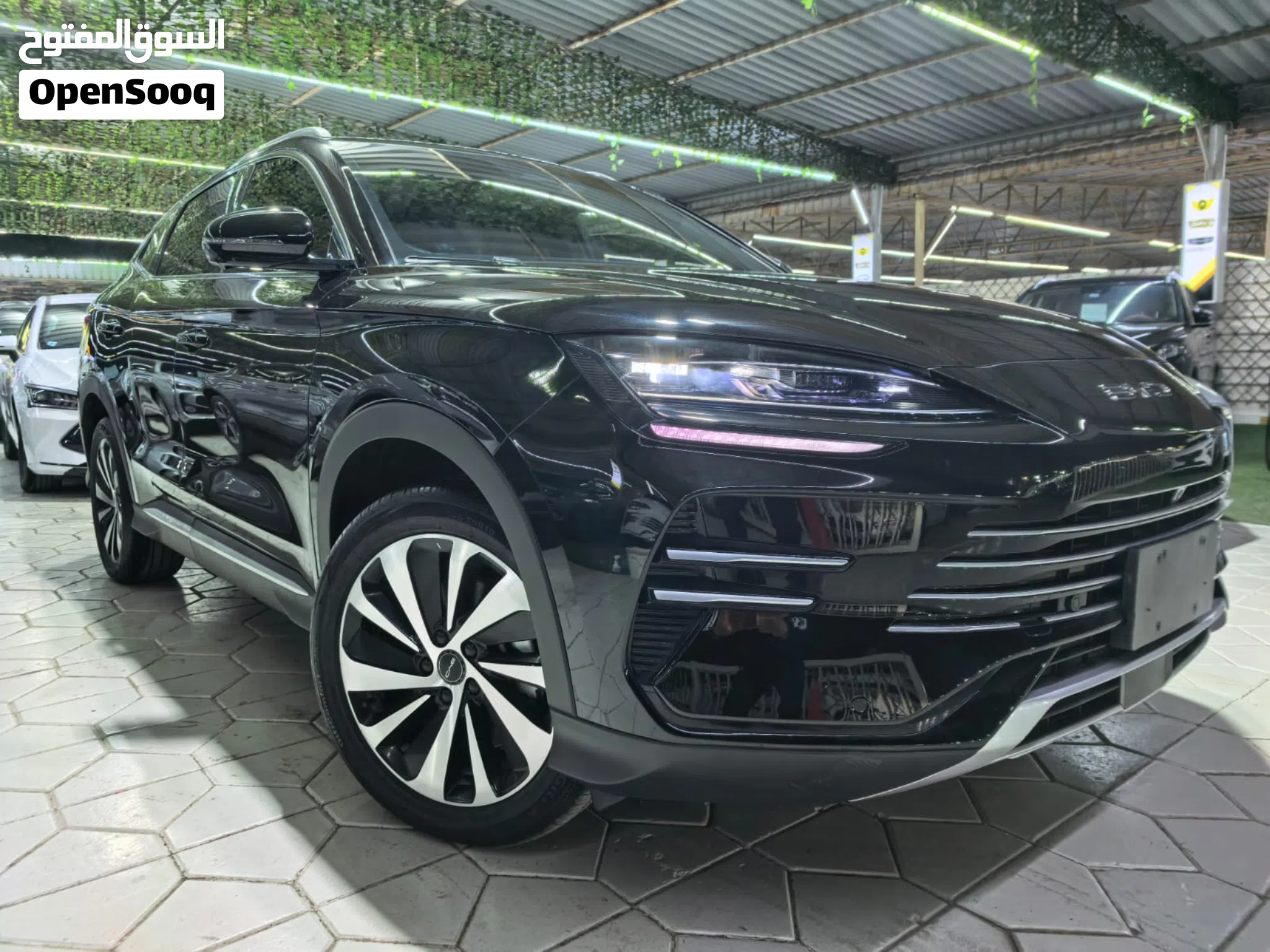 2026 BYD Song Plus