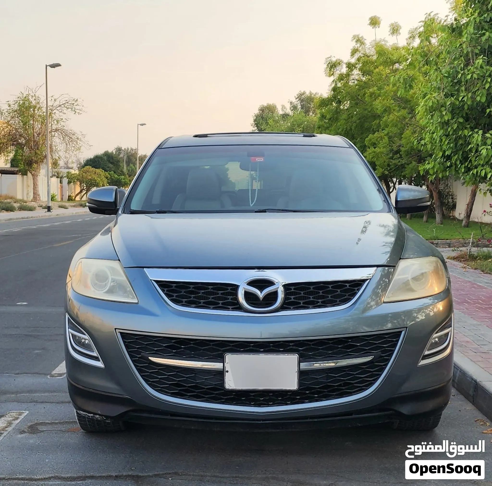 2012 Mazda CX 9