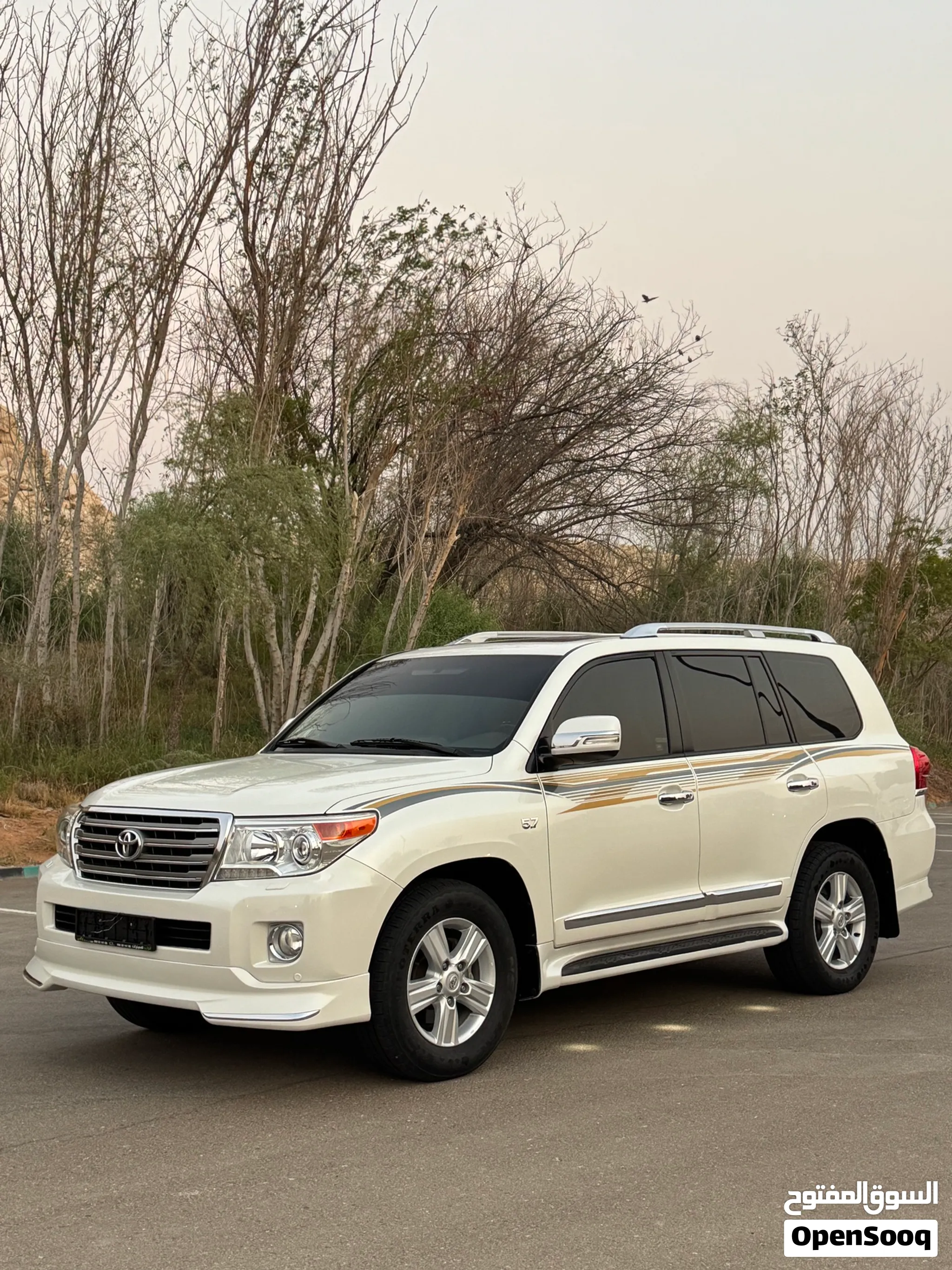 2015 Toyota Land Cruiser