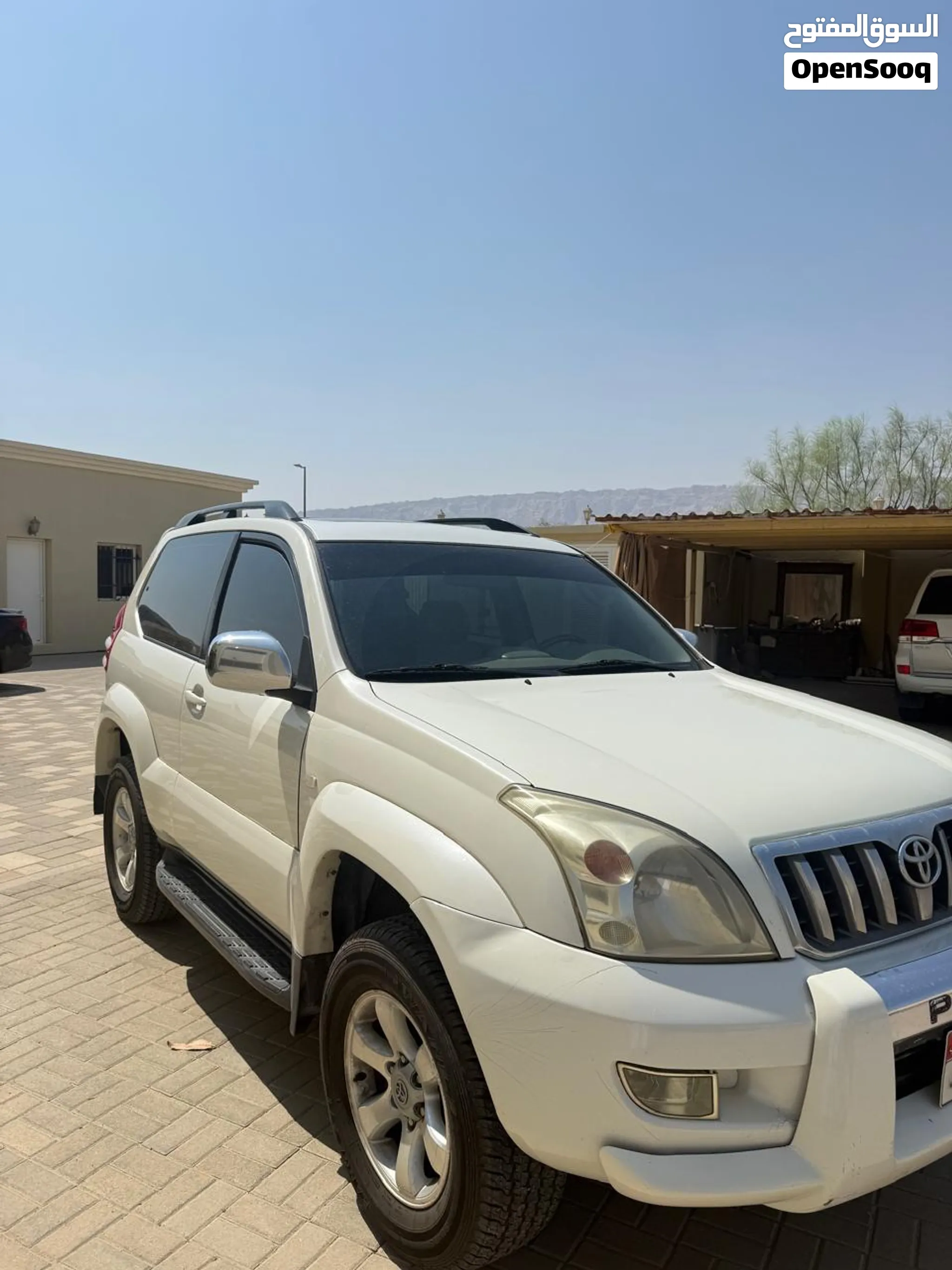 2009 Toyota Prado