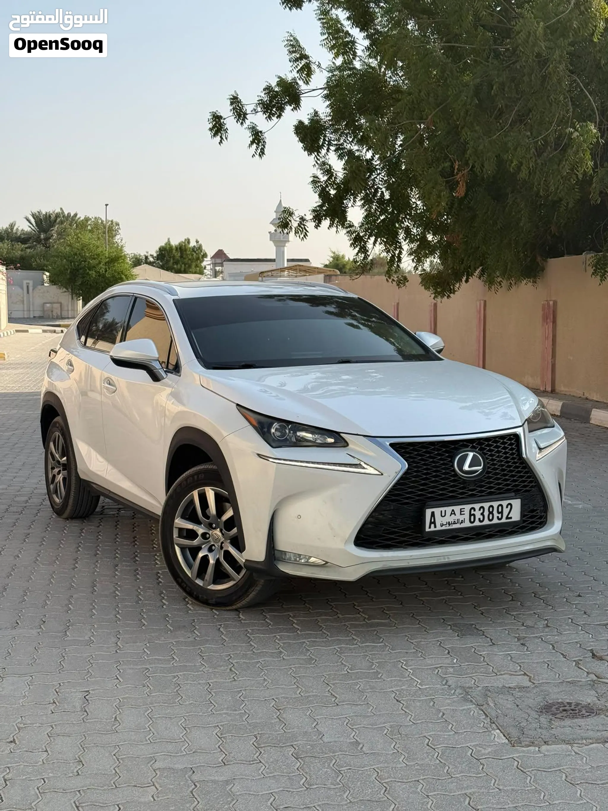 2015 Lexus NX