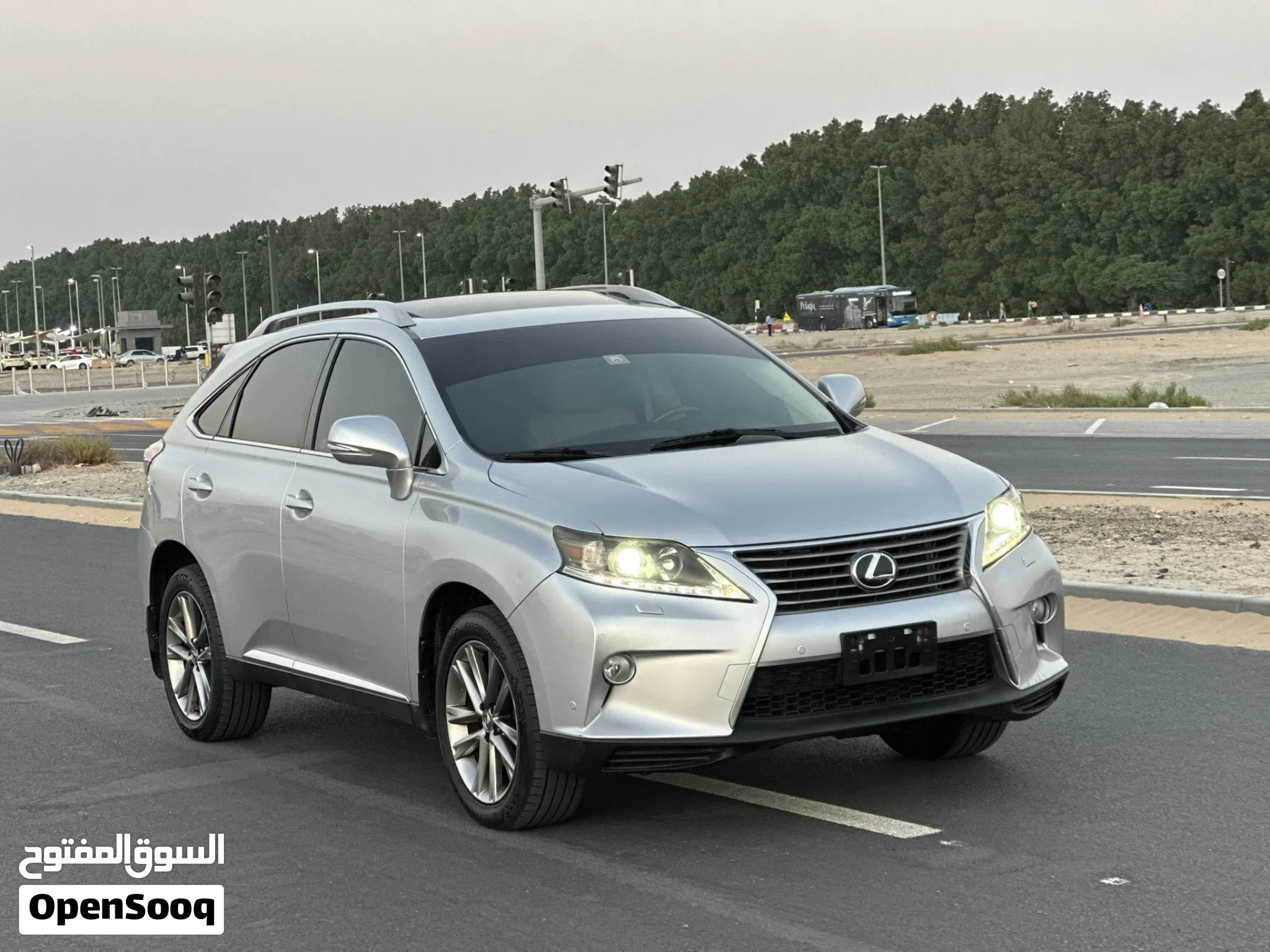 2013 Lexus RX