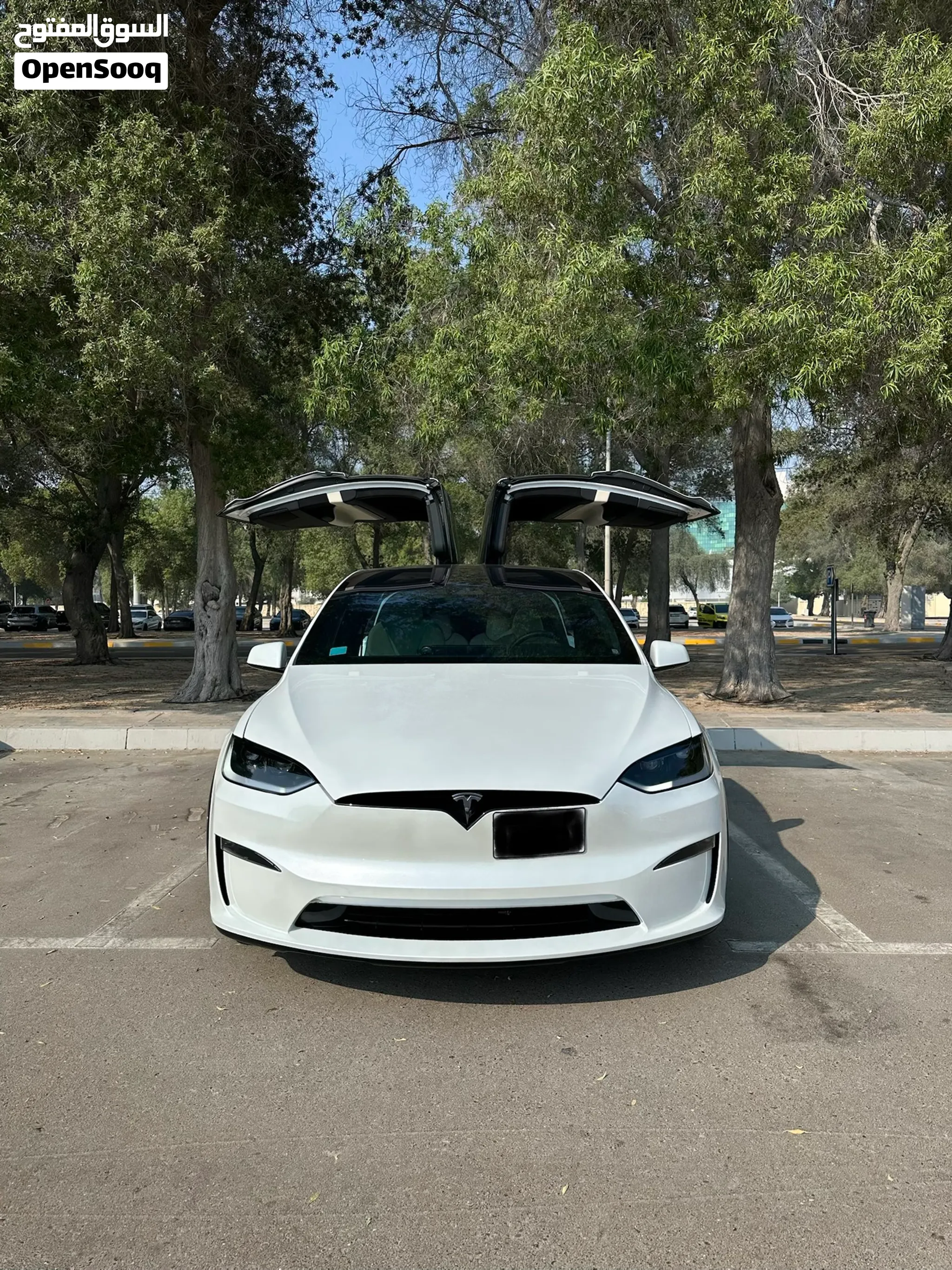 2024 Tesla Model X