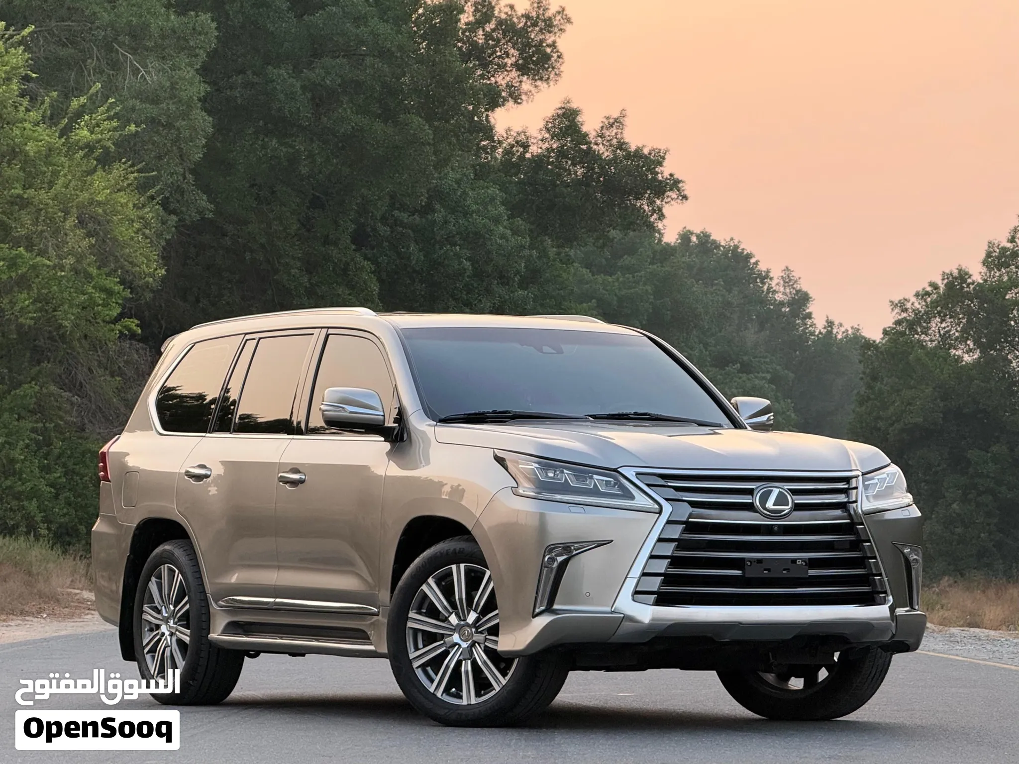 2017 Lexus LX