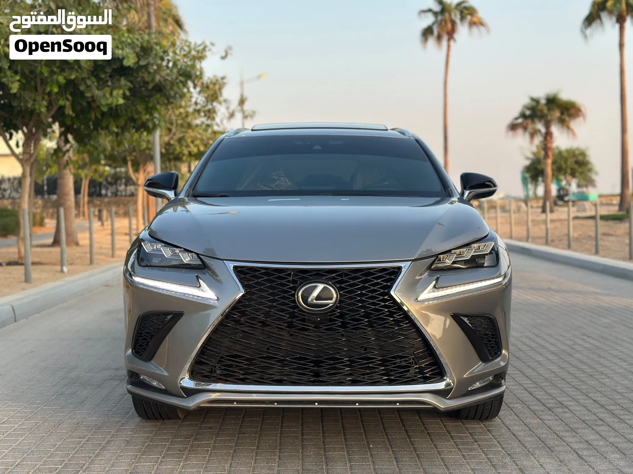 2015 Lexus NX